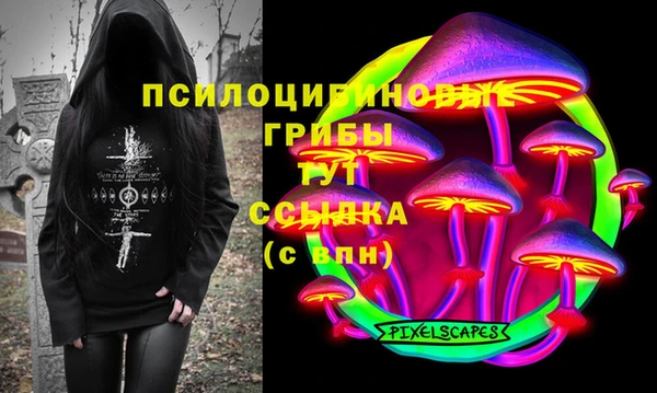 СК Алексеевка