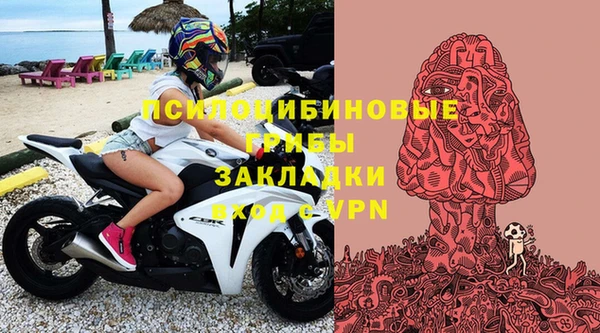 мяу мяу мука Алзамай