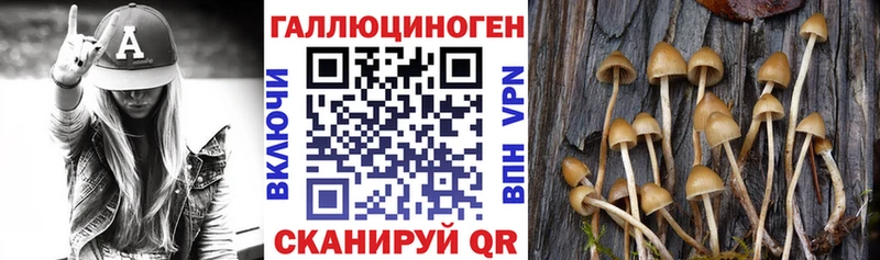 купить наркоту  omg зеркало  Галлюциногенные грибы MAGIC MUSHROOMS  Чапаевск 